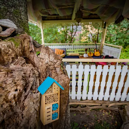 Mountain Tale Hostel Brasov
