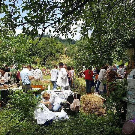 Mountain Tale Hostel Brasov