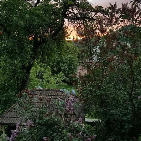 Hostel Mountain Tale Brasov
